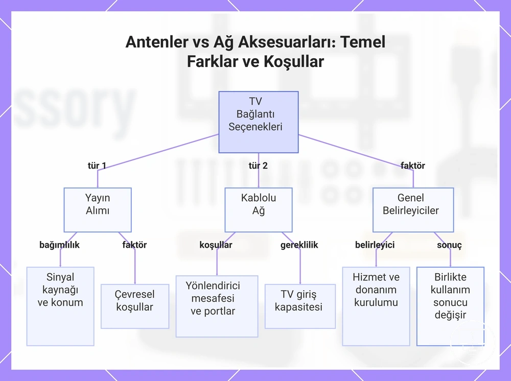Antenler vs Ağ Aksesuarları: Temel Farklar ve Koşullar